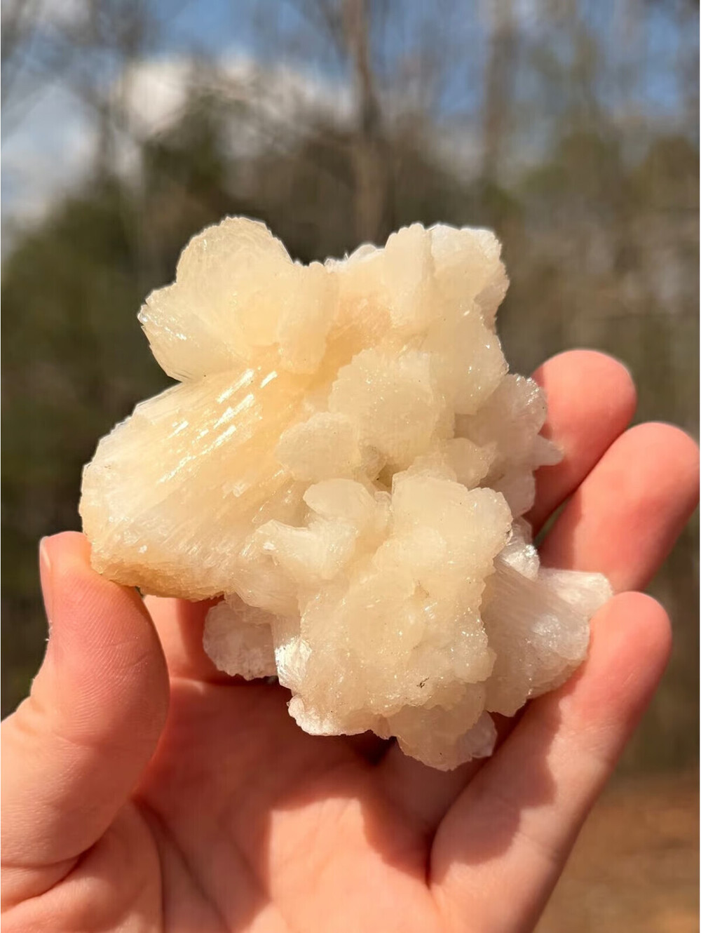 Natural Peach Stilbite Flower Formation! Healing Crystals, Quartz, And Specimens